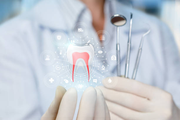 Best Emergency Dental Care  in Lake Kerr, FL
